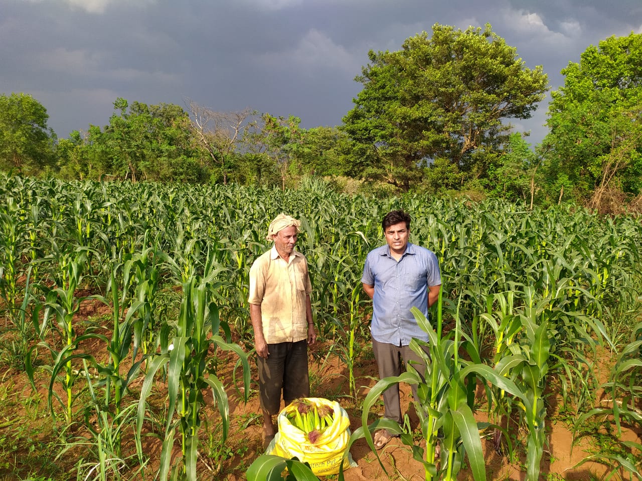 samridh_kisan3.jpeg